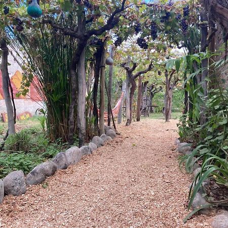 Casa Prana Estudio de Yoga Albergue Cafayate Exterior foto